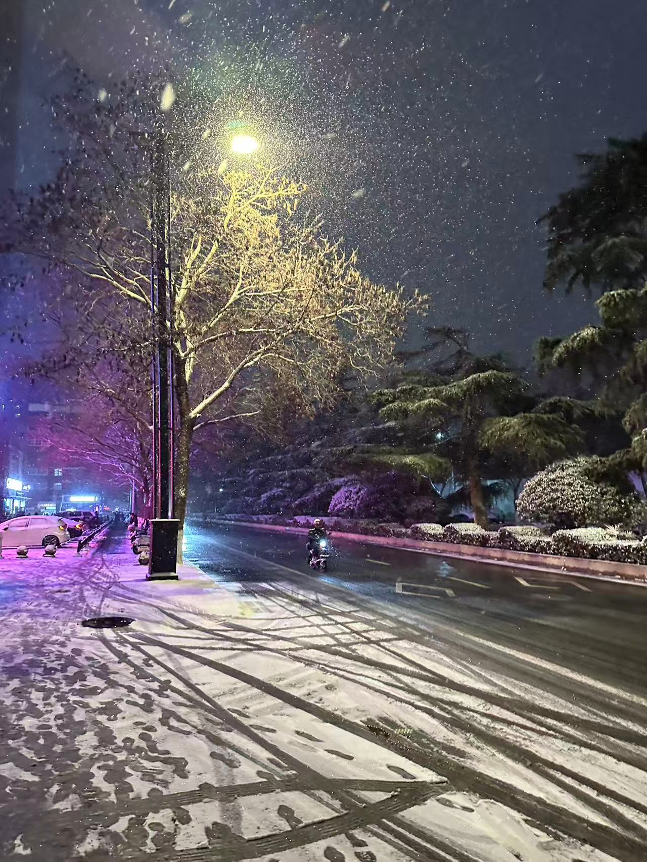 下了好大的雪
